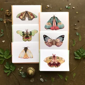 Moth Card Pack