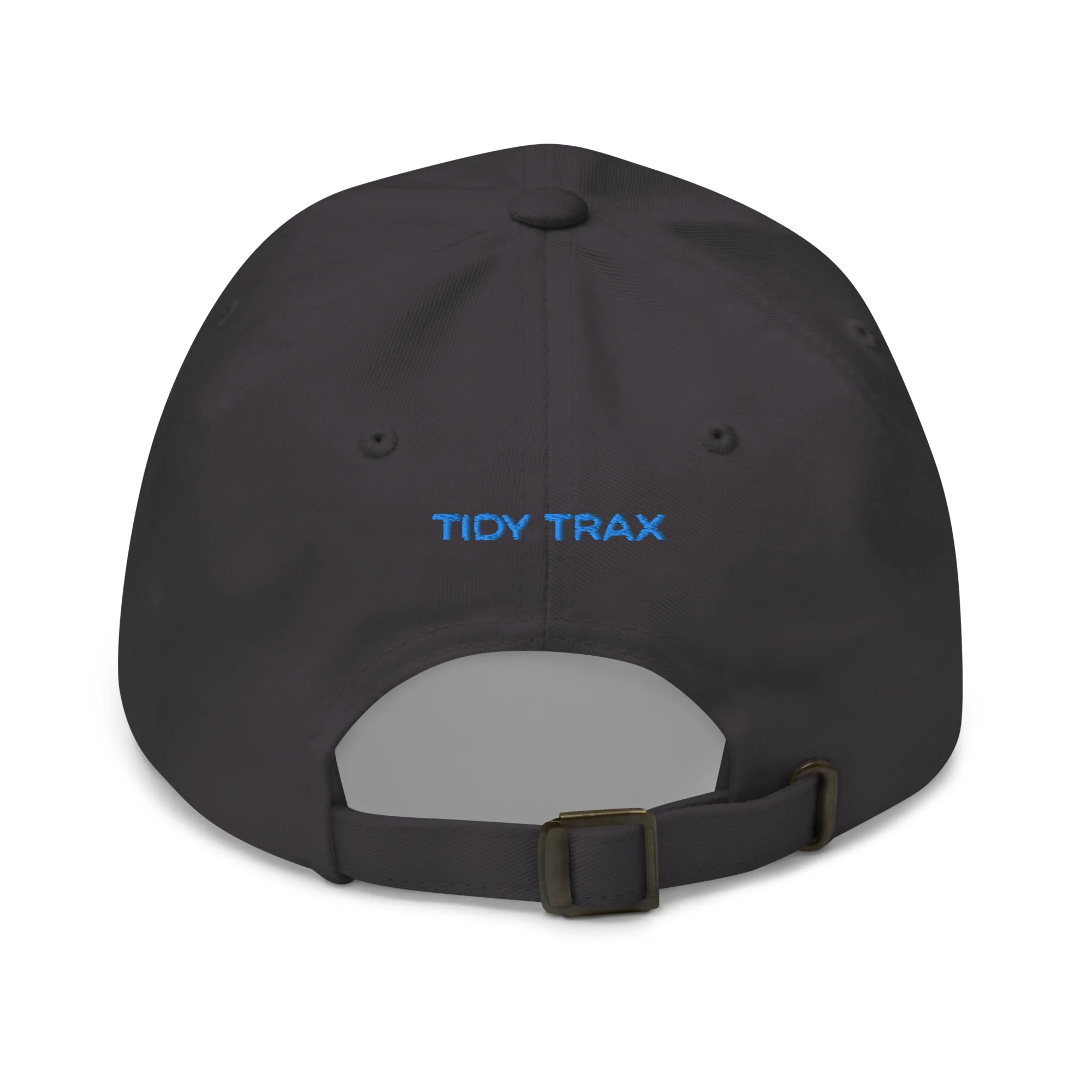 Tidy Blue Logo Hat