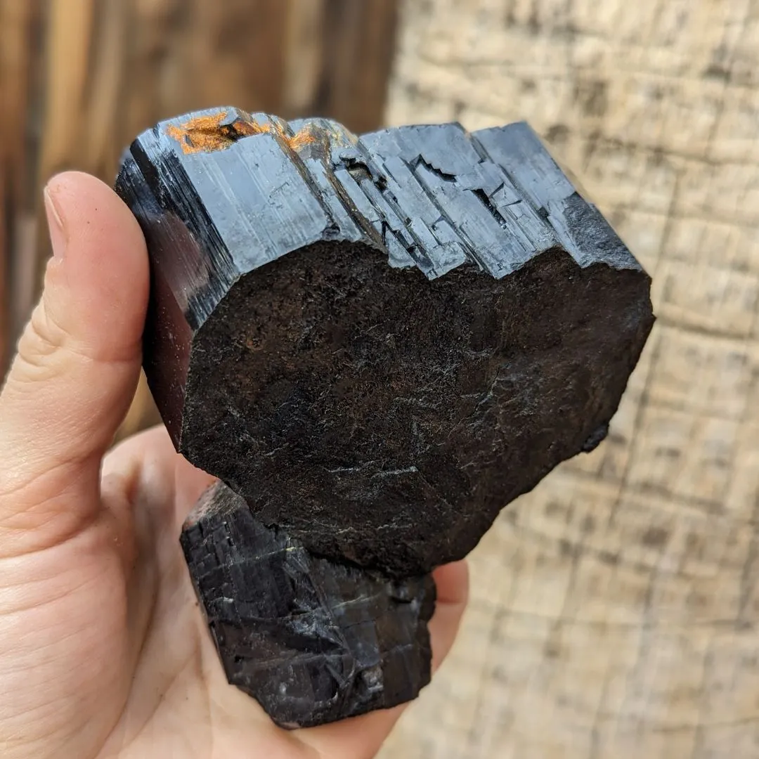 ~TUCSON EXCLUSIVE! ~ TERMINATED AA GRADE BLACK TOURMALINE CRYSTAL FROM ERONGO MOUNTAIN, ERONGO REGION, NAMIBIA