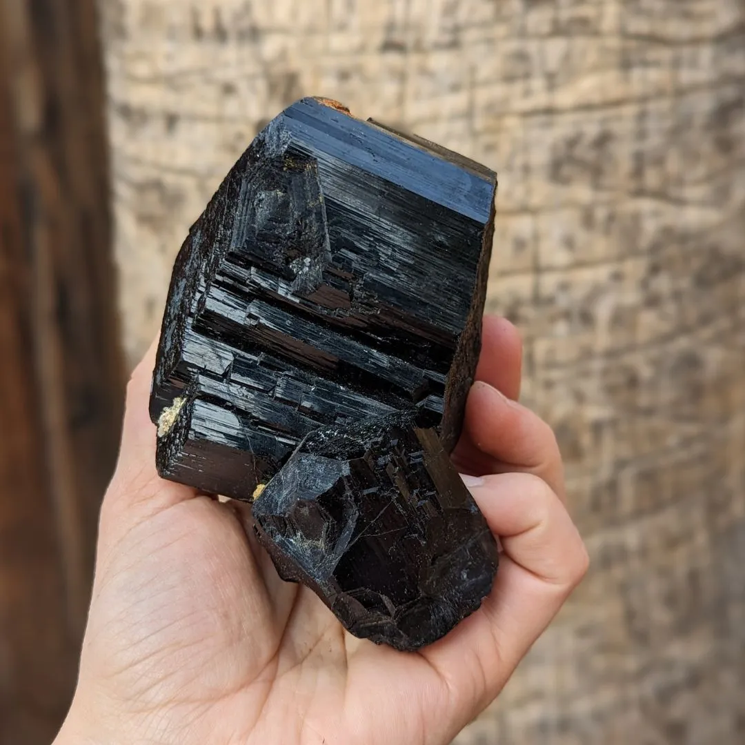 ~TUCSON EXCLUSIVE! ~ TERMINATED AA GRADE BLACK TOURMALINE CRYSTAL FROM ERONGO MOUNTAIN, ERONGO REGION, NAMIBIA